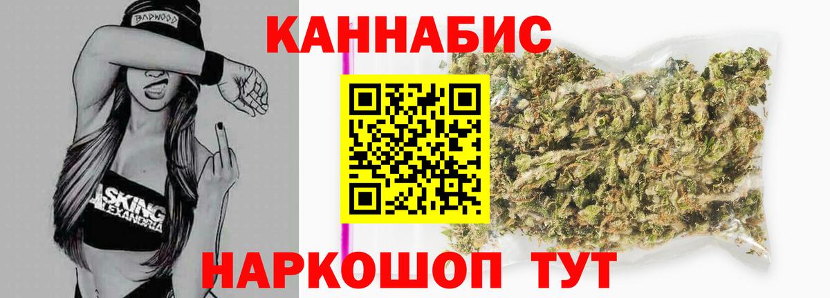 Бошки Шишки планчик Заринск